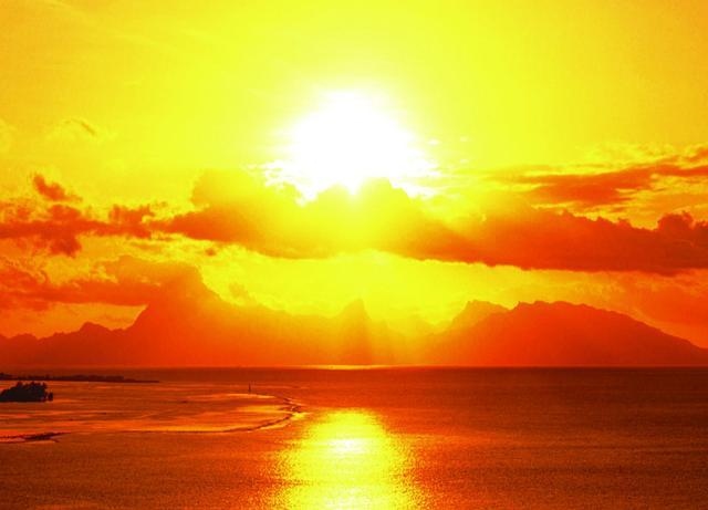 属蛇45岁后命运，1977年属蛇人每月运势