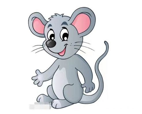 022属鼠每月运势农历，84年属鼠37岁有一灾2022"