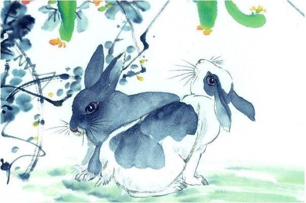 5年属兔禁忌色，1987属兔的最旺的颜色"