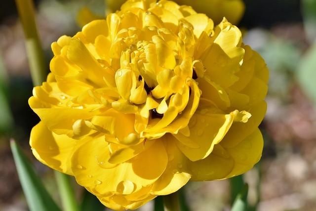 022年姻缘最旺盛的生肖，2022犯太岁最严重生肖"