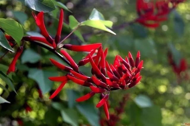 属兔的跟十二生肖里边哪一个最配，生肖兔和兔相配吗