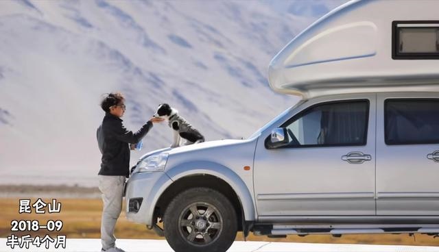 兔遇狗一生走是什么意思，狗兔六合本为亲