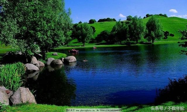 994年山头火命命硬，山头火为什么是木狗"