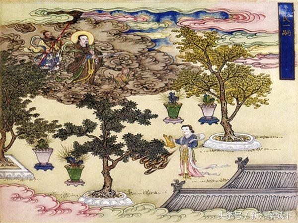 兔与哪个生肖最有缘，生肖兔的贵人与小人