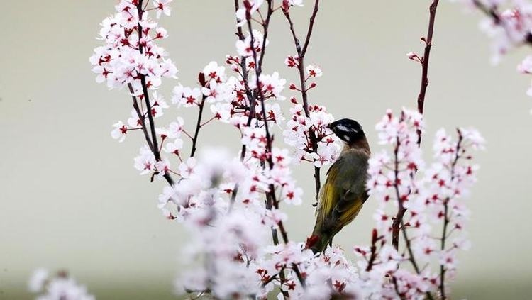 7年属蛇今年每月运程，77年属蛇今年每月运程男士"