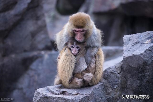 双木夫妻真会克的厉害吗，双木夫妻难相合的解释