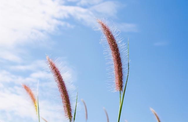 962年是闰几月，二零二零年闰几月"