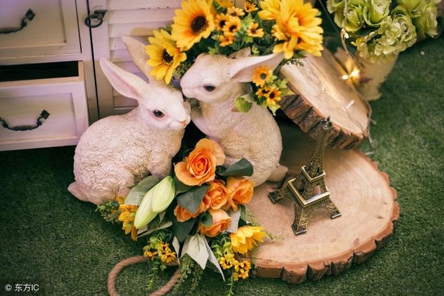 看一下属兔人今日运财运，生肖兔每日运势详解