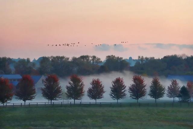 甲戌狗几月出生更好，八字里有辛未是有钱人