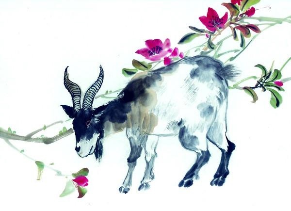 022年必定生女孩的生肖女，2022年婚姻不好的生肖女"