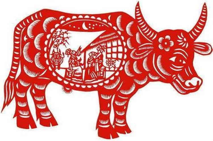 985年属牛什么时候运势更好,1985年属牛人2022