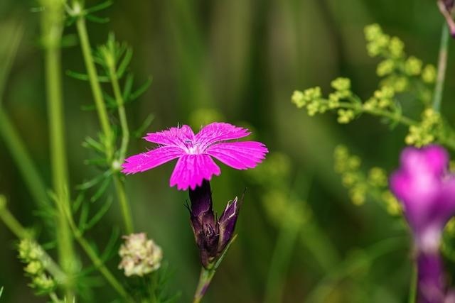 7年属兔女2022运势怎么样，87年属兔运势及运程"