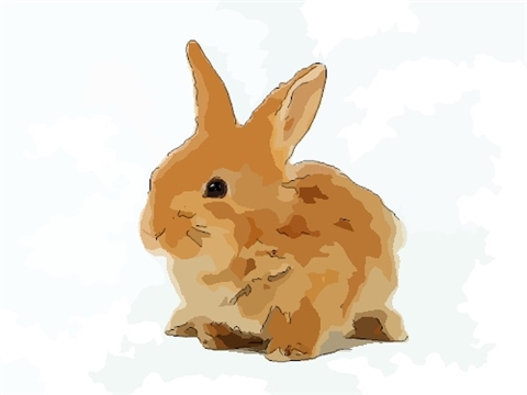 属兔87年2022年怎么样，1975属兔人2022 年运势