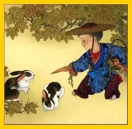 属兔的今年和什么属相相克，75年属兔47岁有一灾