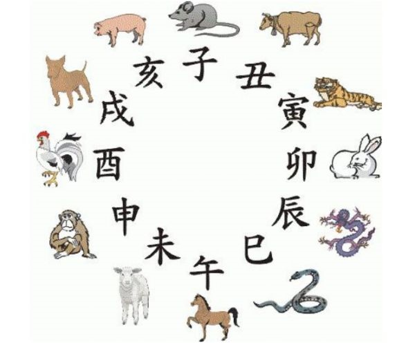 属鼠的更佳婚配表，属鼠的更佳配偶属相