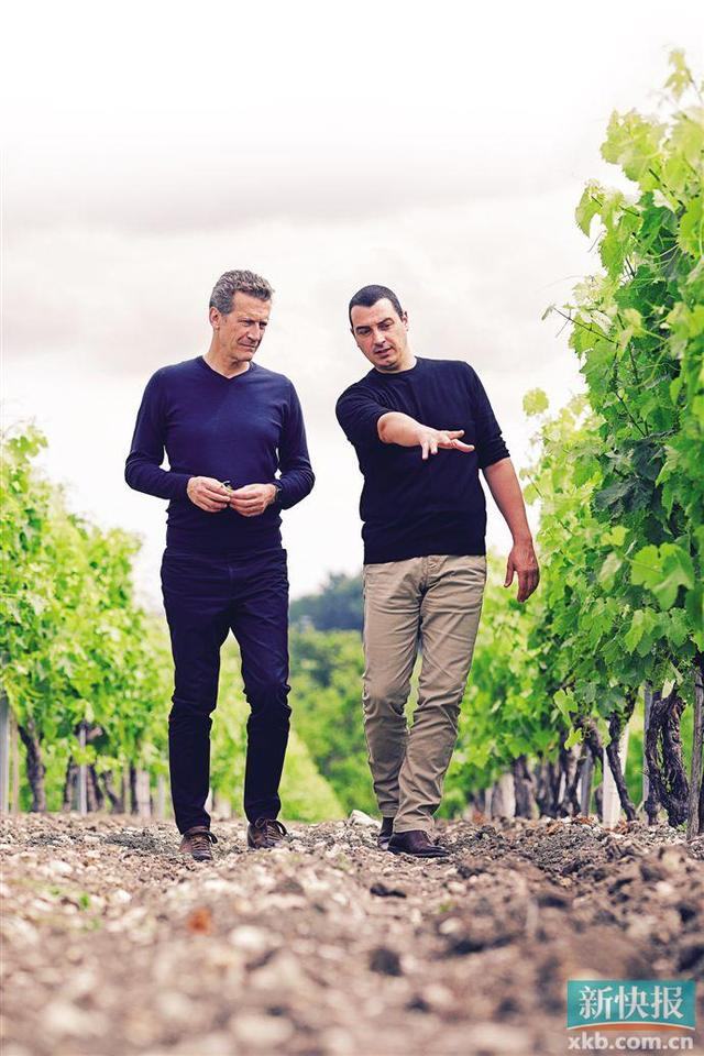 人头马代表什么生肖，人头马打一生肖