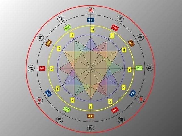 属马的和什么属相最配相克，2002属马人一生的命运如何