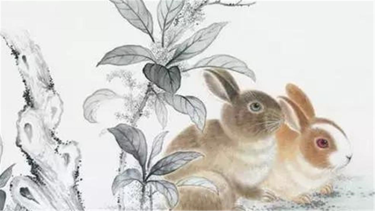 999年属兔适合做什么行业，1999年属兔23岁以后一生命运"