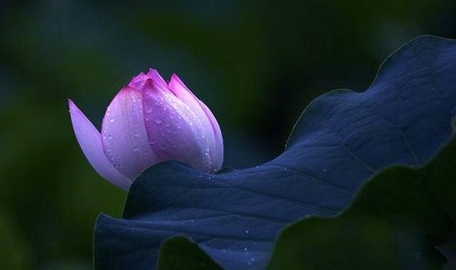 963年闰几月，1963年闰几个四月"