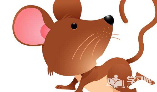 属鼠的那几年出生,属鼠的都是哪年出生的