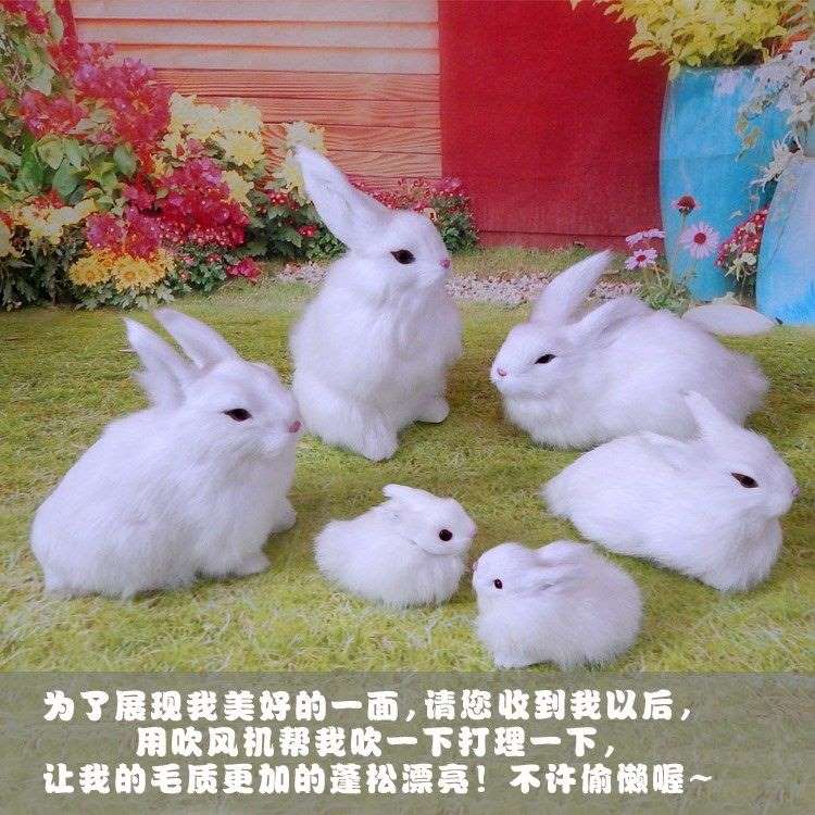 兔子的属相是哪一年，属虎的是哪年出生的