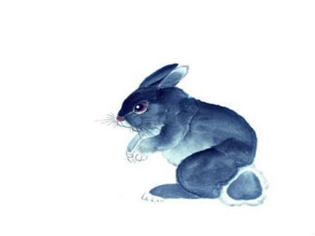 022年属兔子几岁，1975属兔45岁以后运气"