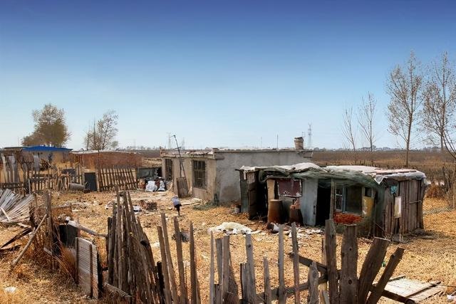 962年是闰几月，二零二零年闰几月"