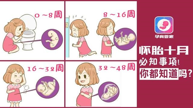 986年苦命虎智商，86年九月初五属虎人"