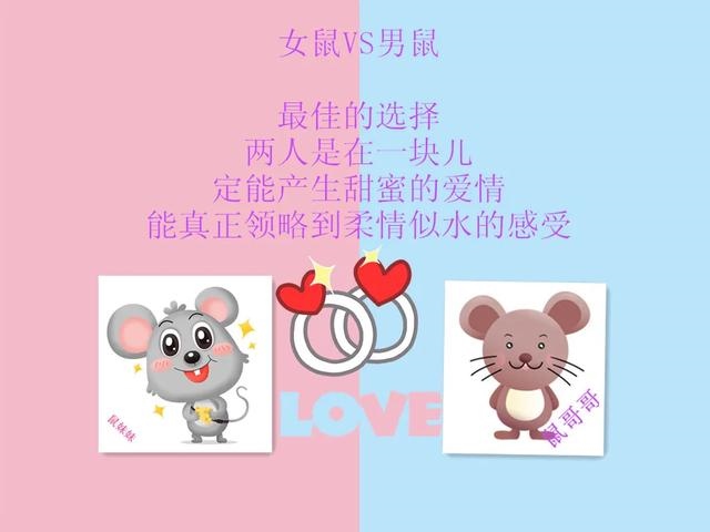 属鼠嫁给属鼠的好吗，72年属鼠女人床上表现