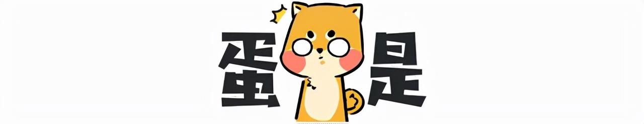 母亲属兔孩子属鼠怎么化解，兔妈妈生了鼠宝宝怎么化解