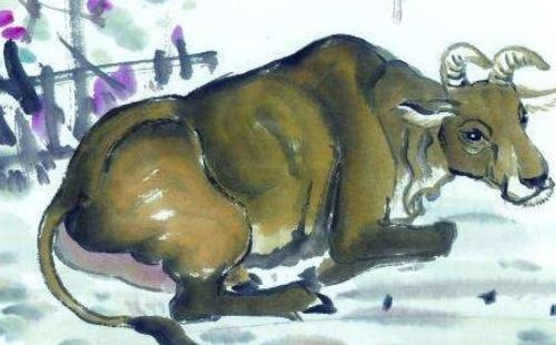 5年属牛36岁离婚，今年属牛犯桃花劫"