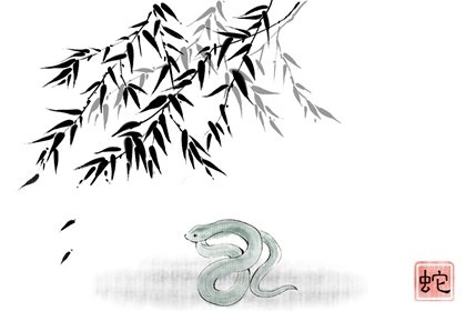 022年属蛇的多少岁，1953年2022年多大"