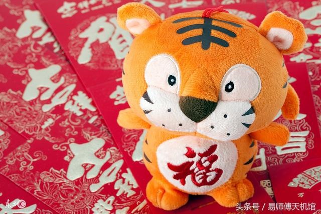 属虎人今年财运，属鸡今年财运