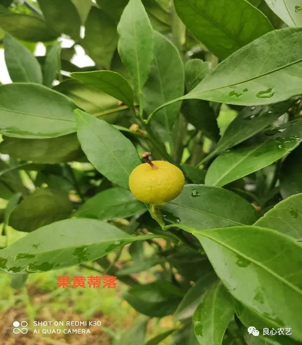 今年属兔运气不好怎么度过，属兔人旺财运 ***