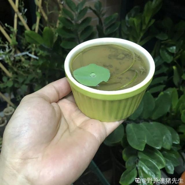 最有富贵命的五大生肖，五大更具富贵命生肖