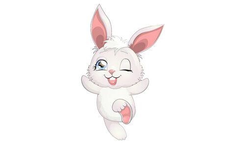 属兔今年下半年运程，属兔生肖本周运势查询