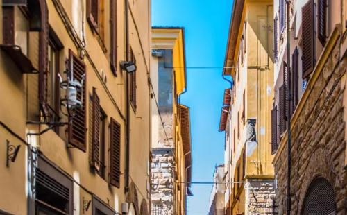 属狗的生肖贵人，属羊人命中注定的贵人是谁