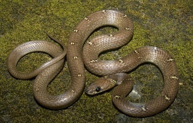 7年属蛇人今年运势方位,77年属蛇44岁运势"