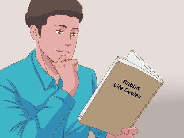 判断兔子的年龄，兔子标准体重与年龄表