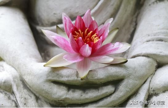 属兔的本命佛是哪尊佛，属相虎的本命佛