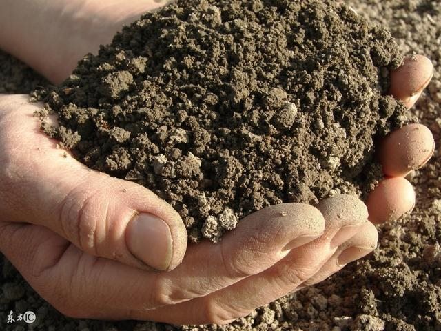 3大海水命和87炉中火，87年属兔人最穷不过36岁"