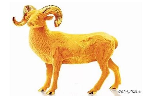 022年什么生肖运势最旺，2022