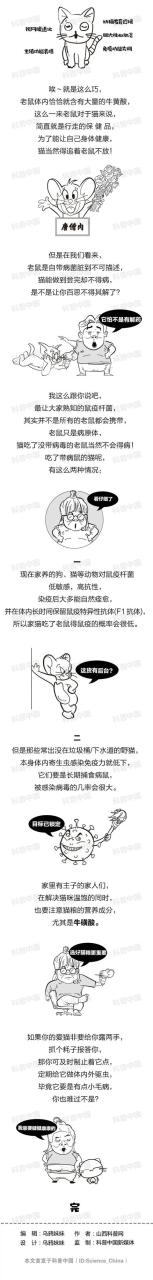 男鼠女兔其实很好，女鼠男兔能不能在一起