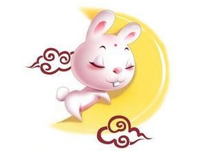 白天的老鼠享福的命，有福气孩子出生前预兆