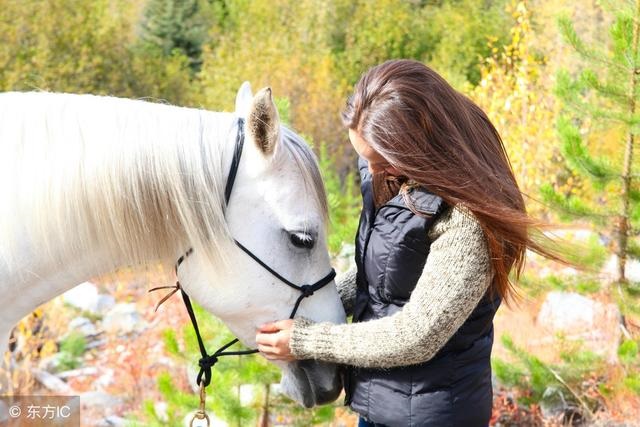 属马的和什么生肖最配婚，生肖马的婚配属相