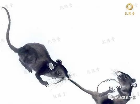 属鼠明年的运势怎么样2022，84年属鼠37岁有一灾2022