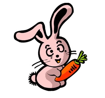 属兔出生年份查询，生肖属兔的今年多少岁