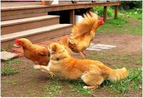 相克的夫妻能在一起过吗，为什么相克的人会相爱