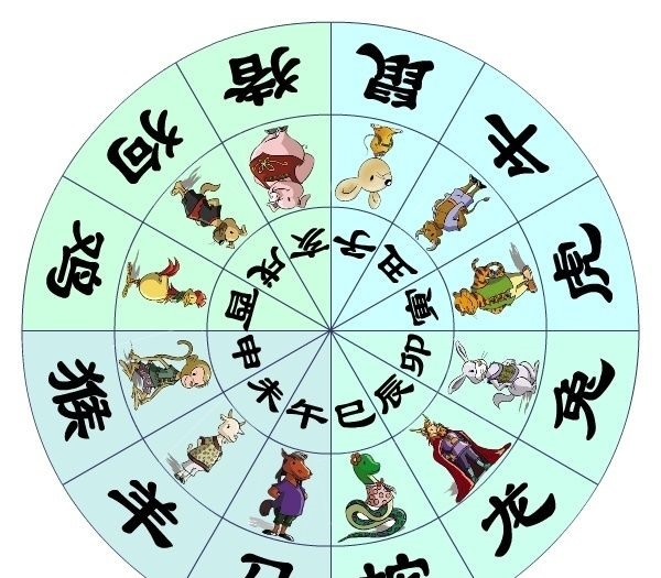 兔和什么属相冲，属兔与什么属相相合