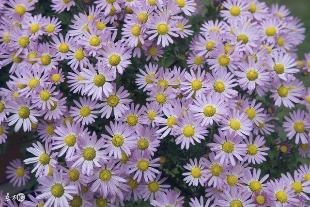 024年属兔百年难遇,易经预测2023将大乱"